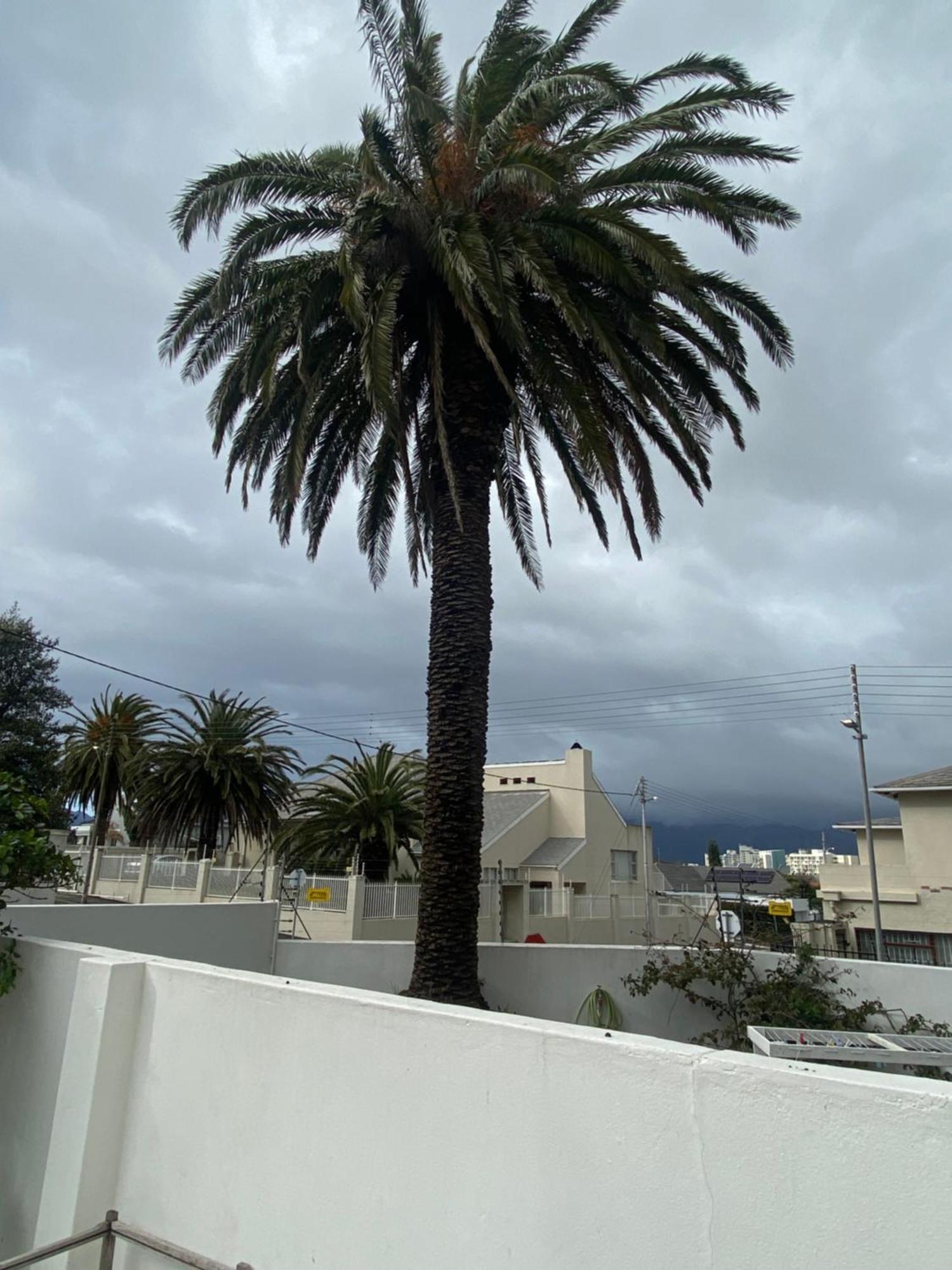 Micky'S Coziness Galore! Apartment Cape Town Exterior foto